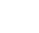 x-icon